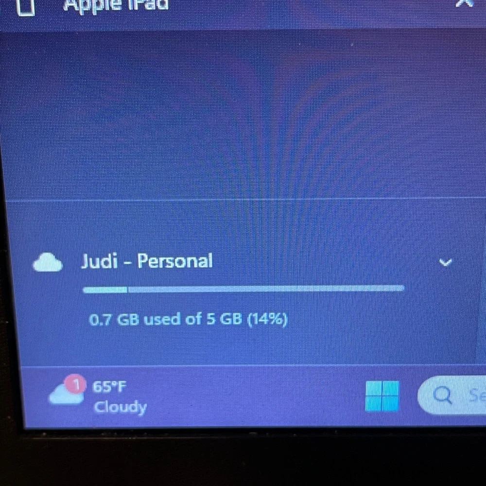 iPad
